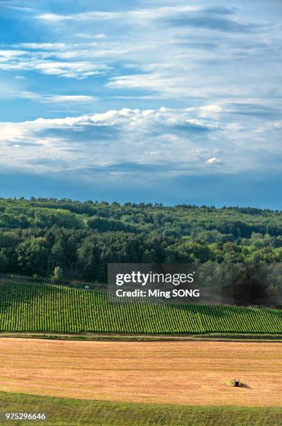 irancy - irancy stockfoto's en -beelden