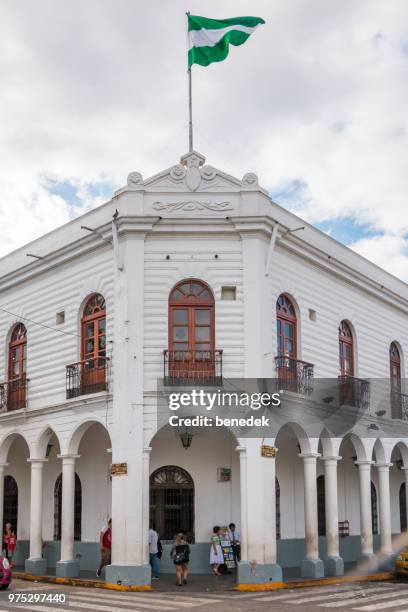 ornate gebouw in het centrum van santa cruz de la sierra, bolivia - santa cruz de la sierra bolivia stockfoto's en -beelden