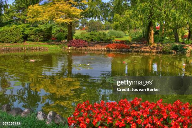the pond - berkel stock pictures, royalty-free photos & images