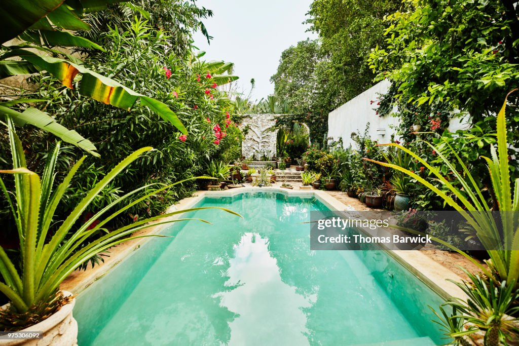 View of pool and backyard garden courtyard of home
