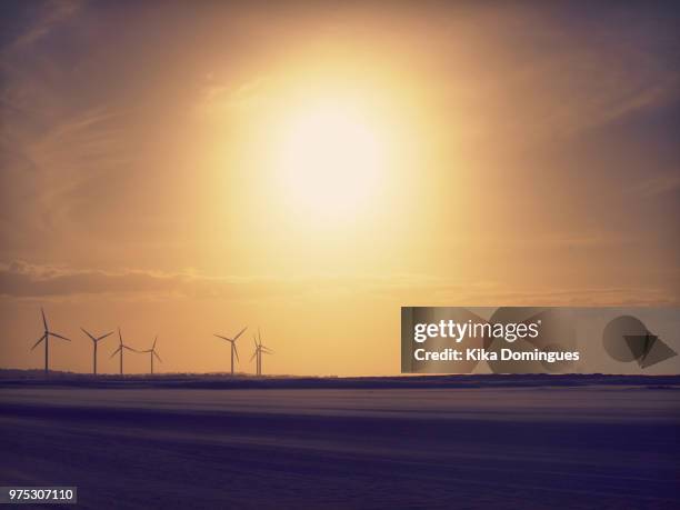 eolian - kika stock pictures, royalty-free photos & images