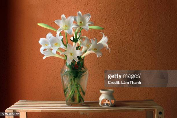 home sweet home - easter lily stock pictures, royalty-free photos & images