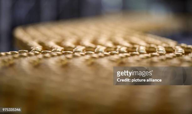 May 2018, Germany, Rothaus: Beer bottles of the brand 'Tannenzaepfle' are on a conveyor belt at the filling line of Baden's state brewery Rothaus....