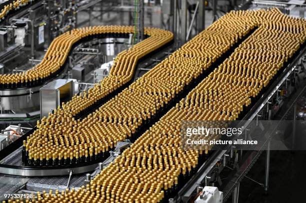 May 2018, Germany, Rothaus: Beer bottles of the brand 'Tannenzaepfle' are on a conveyor belt at the filling line of Baden's state brewery Rothaus....