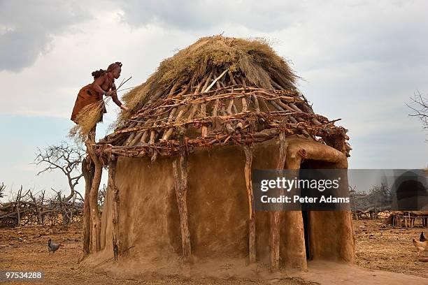 thatching himba tribe hut, kaokoland, namibia - himba stock-fotos und bilder