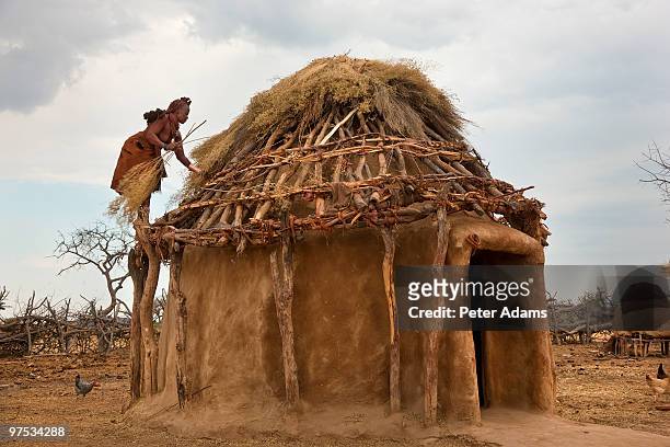 thatching himba tribe hut, kaokoland, namibia - himba fotografías e imágenes de stock