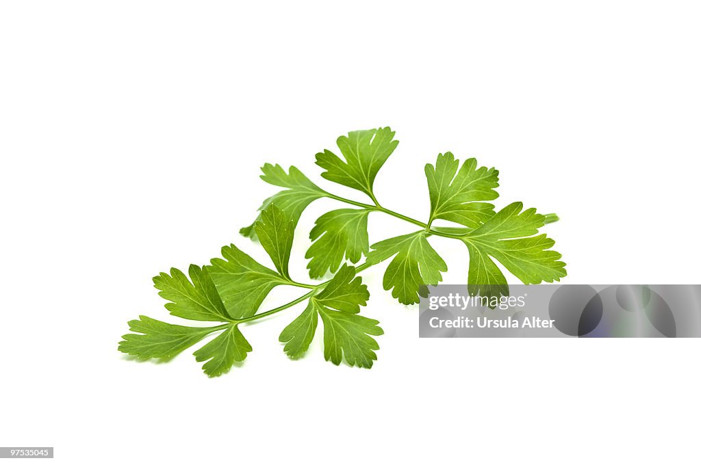 Parsley