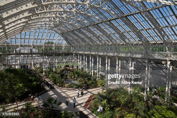 Interior view of the newly refurbished Temperate House at Kew Gardens in London, United Kingdom. The Royal Botanic Gardens, Kew, usually referred to...