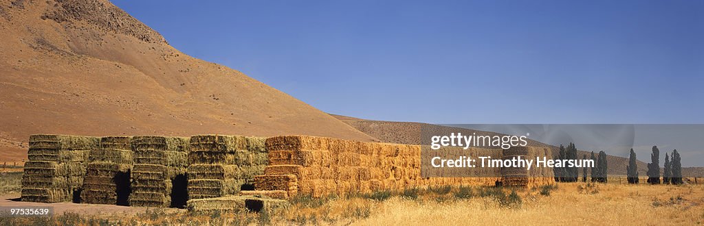 Stacked bales of alfalfa, mountains beyond