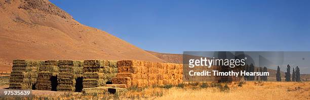 stacked bales of alfalfa, mountains beyond - timothy hearsum stock-fotos und bilder