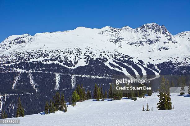 whistler, bc, canada - blackcomb mountain stock pictures, royalty-free photos & images