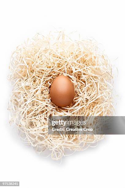 an egg in a birds nest made from wood shavings - creative rf stock pictures, royalty-free photos & images