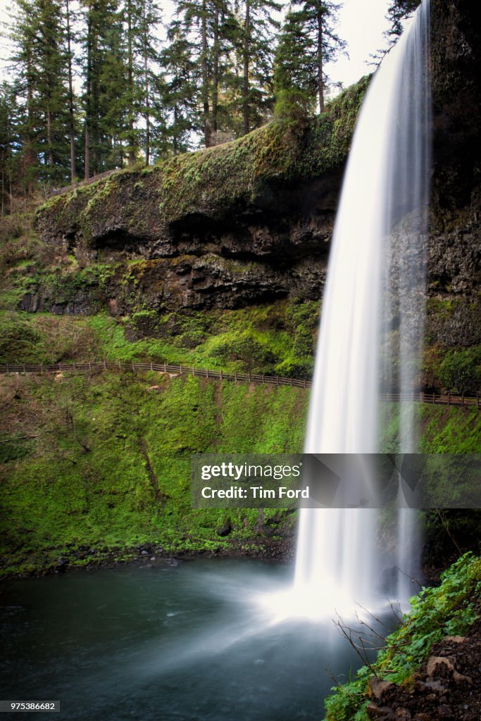 Silver Falls, Silver falls State Park, Marion County, Oregon, USA