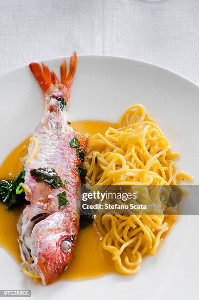 female chefs in italy - mullet fish stock pictures, royalty-free photos & images