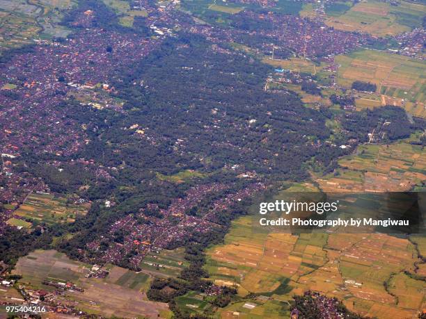 ubud district - シンガラジャ ストックフォトと画像