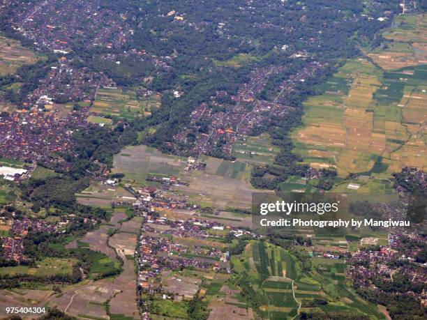 ubud district - シンガラジャ ストックフォトと画像