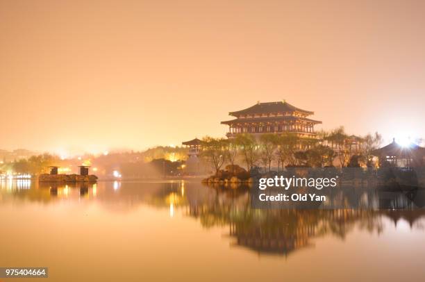 tang paradise - tang yan stockfoto's en -beelden