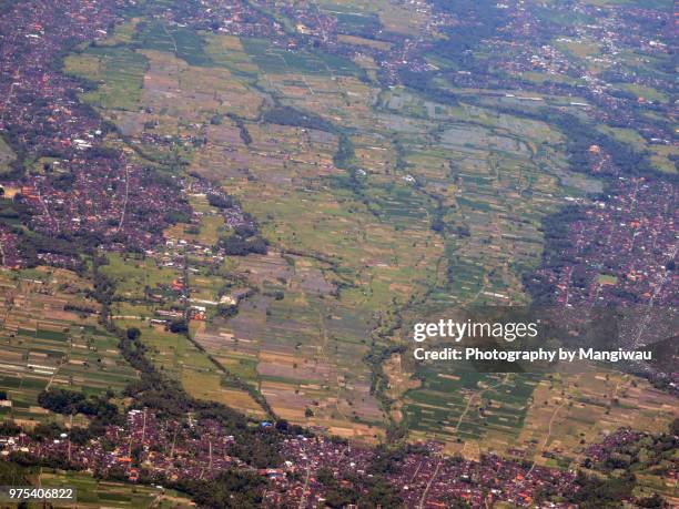 ubud district - シンガラジャ ストックフォトと画像