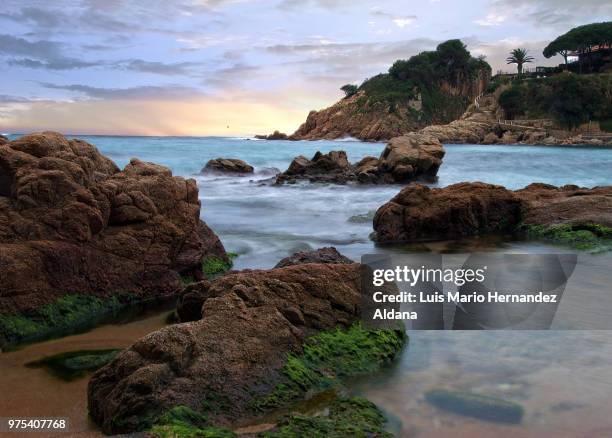 costa brava en estado puro - encosta stock pictures, royalty-free photos & images