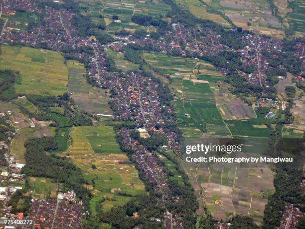 ubud district - singaraja imagens e fotografias de stock