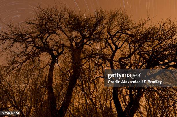 un disque d'etoiles // stars record - etoiles stockfoto's en -beelden