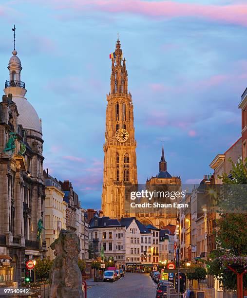 cathedral of our lady at dusk - antwerp belgium stock pictures, royalty-free photos & images