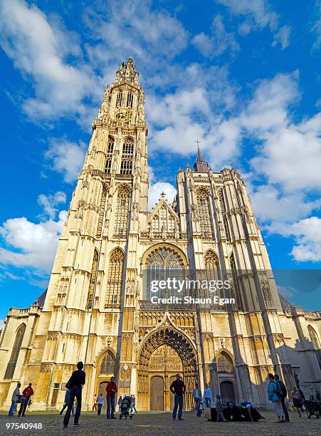 tourists infront of cathedral of our lady  - traditionally belgian stock pictures, royalty-free photos & images