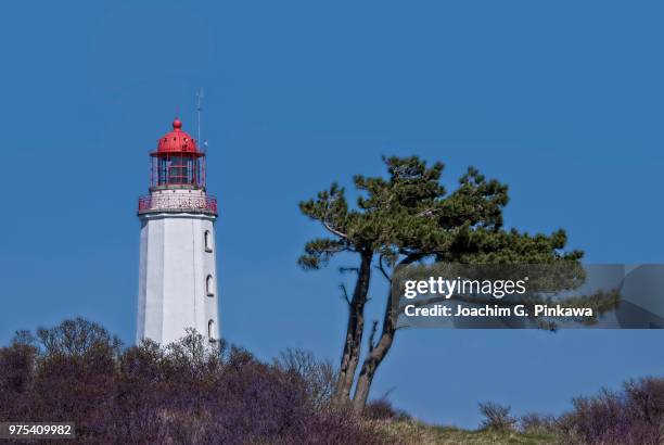 lighthouse hiddensee - hiddensee stock-fotos und bilder