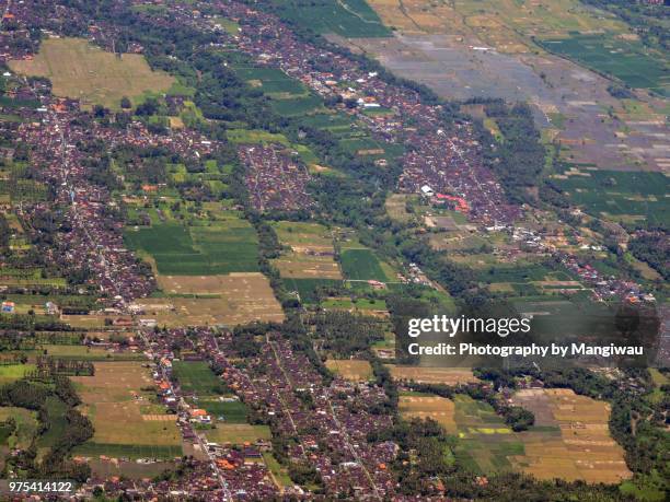ubud district - patchwork fields stock pictures, royalty-free photos & images
