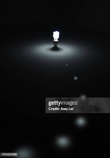 imaginary light - to play cat and mouse stock pictures, royalty-free photos & images