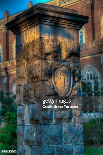 tulane university at golden hour - v tulane stock pictures, royalty-free photos & images