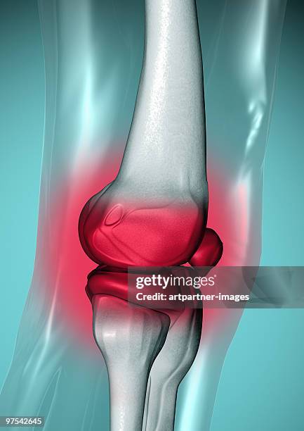 knee joint, meniscus and kneecap - meniscus stock illustrations