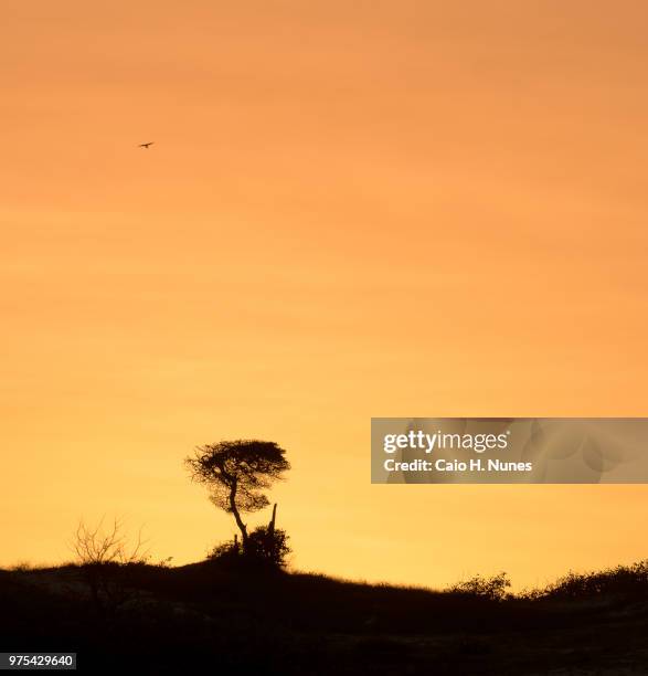 aquiraz,brazil - aquiraz stockfoto's en -beelden