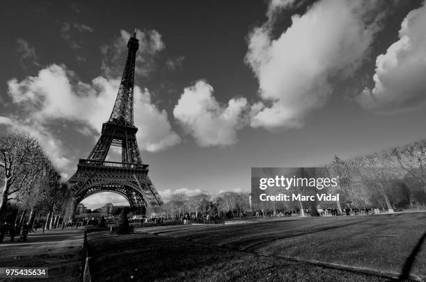 effeil tower - tour effeil bildbanksfoton och bilder