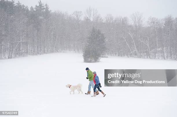 mature couple walking with dog during snow storm - manchester vermont fotografías e imágenes de stock