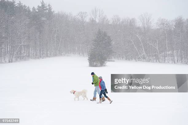 mature couple walking with dog during snow storm - manchester vermont foto e immagini stock