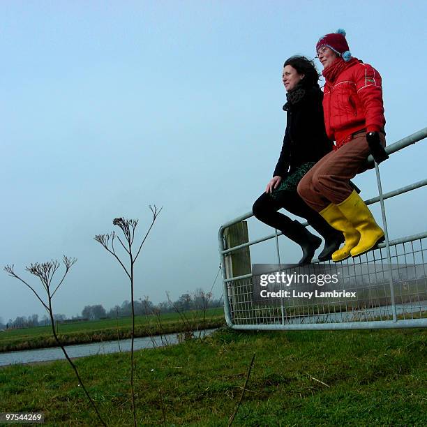 women on a fence - lucy lambriex stock-fotos und bilder