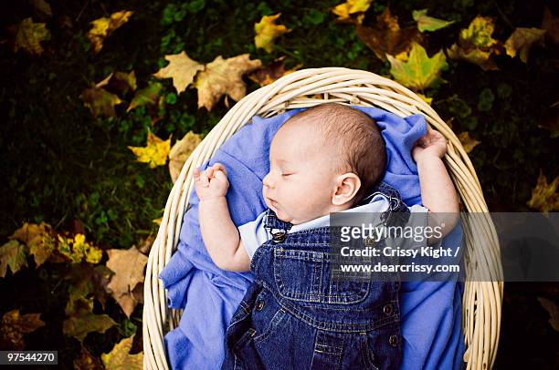 baby taking an autumn nap - chillicothe stockfoto's en -beelden