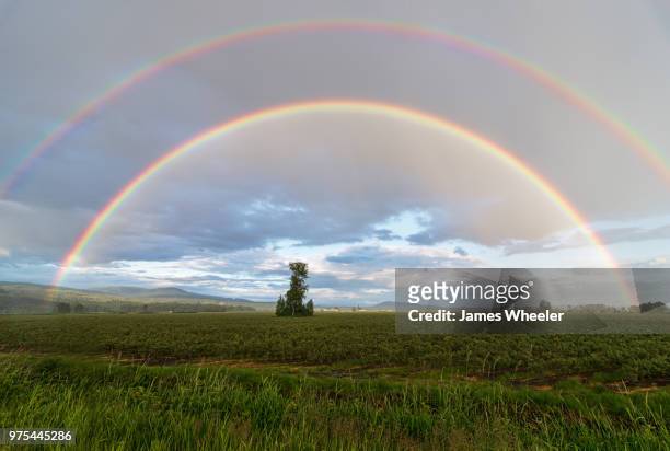 maple ridge rainbow - wheeler fields stock pictures, royalty-free photos & images