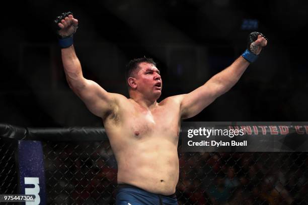 Chris De La Rocha celebrates after defeating Rashad Couler by TKO in the second round in their heavyweight bout during the UFC 225: Whittaker v...