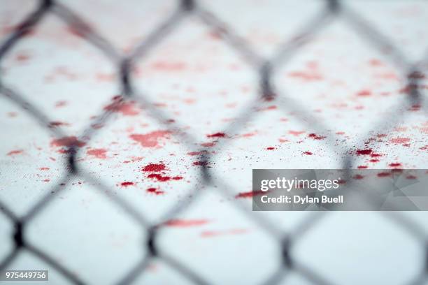 Detail view of blood after the heavyweight bout between Curtis Blaydes and Alistair Overeem of England during the UFC 225: Whittaker v Romero 2 event...