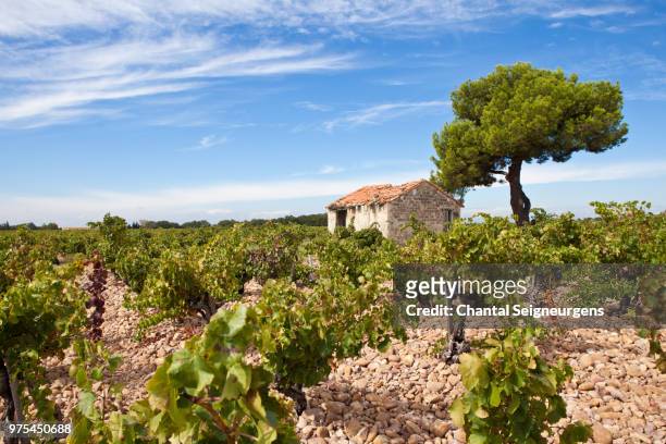 chateauneuf du pape - chateauneuf du pape stock pictures, royalty-free photos & images