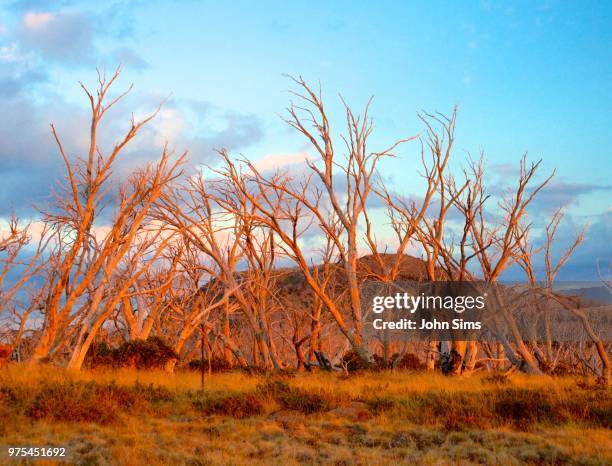 Mount Sims Mount Sims Photos and Premium High Res Pictures - Getty Images