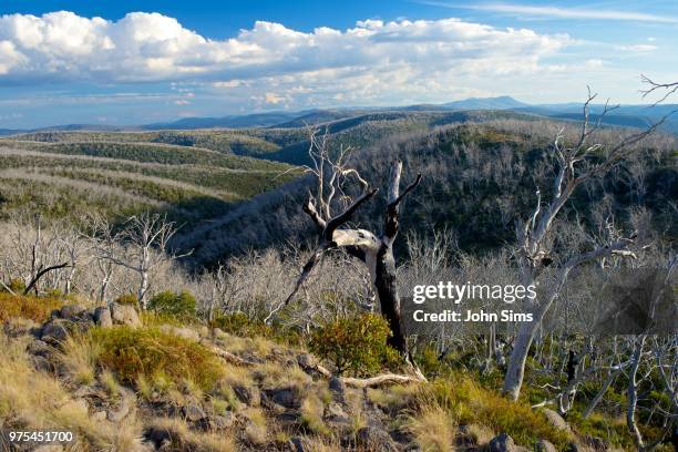 Mount Sims Mount Sims Photos and Premium High Res Pictures - Getty Images