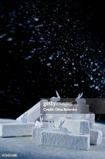 arctic hare (powdered sugar) - arctic hare stock pictures, royalty-free photos & images