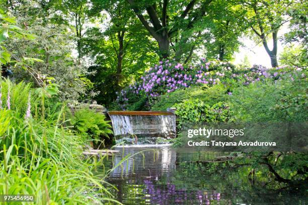 japanischer garten - japanischer garten stock pictures, royalty-free photos & images