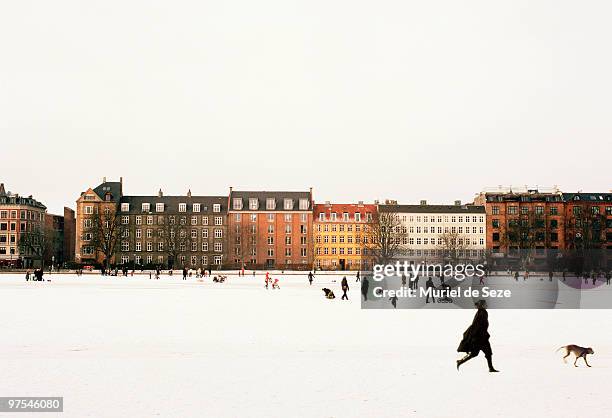 scenary from frozen lake - muriel stock pictures, royalty-free photos & images