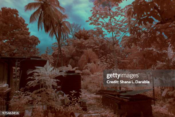 Point Fort Sign Point Fortin Photos and Premium High Res Pictures - Getty Images