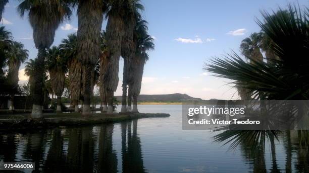 colina lake - colina stock pictures, royalty-free photos & images