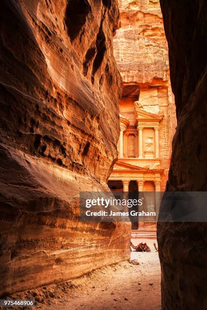 passage to ancient ruins of petra, maan governorate, jordan - maan stock pictures, royalty-free photos & images